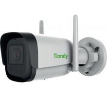 IP-камера TIANDY TC-C32WN WiFi